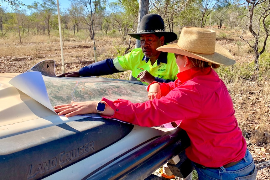 Photo of an Indigenous man wearing a hi-vis shirt with a cattle farmer