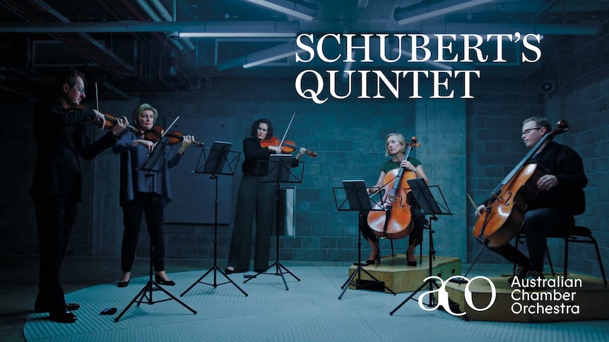 Group of people playing violin in a room with blue-hued light