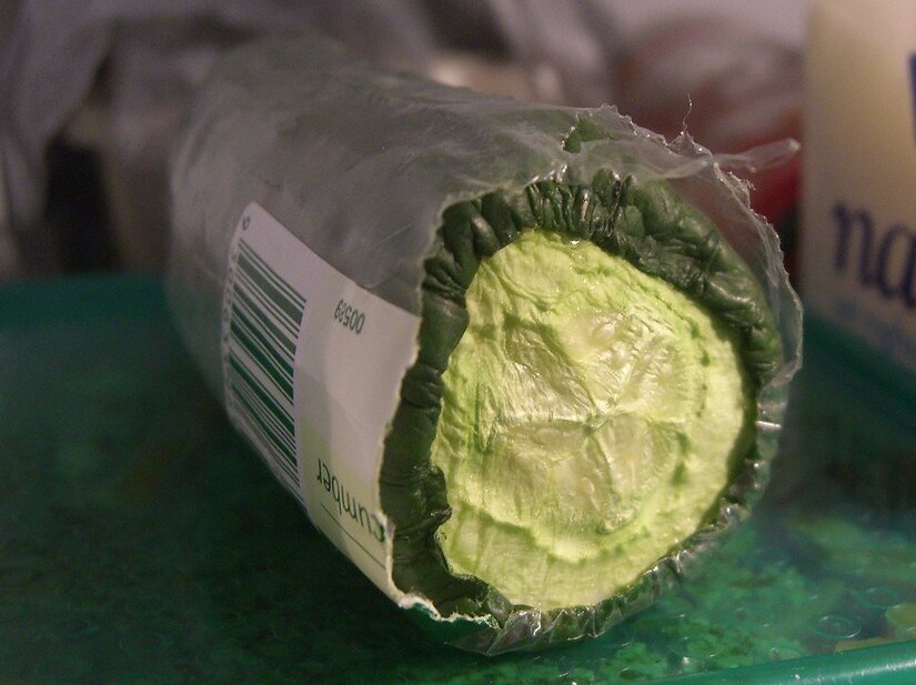 Close up on a shrivelling cucumber with broken plastic packaging in a fridge