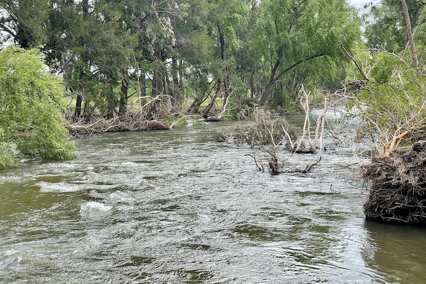 Hunter River at Denman