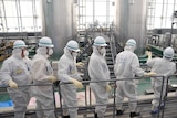Inspectors at Fukushima's nuclear plant