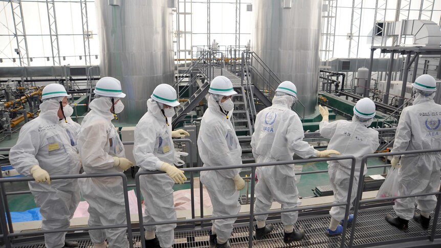 Inspectors at Fukushima's nuclear plant