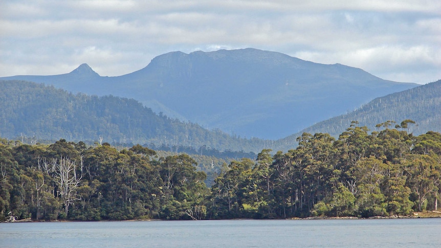 Mountains viewed by Cockle Creek