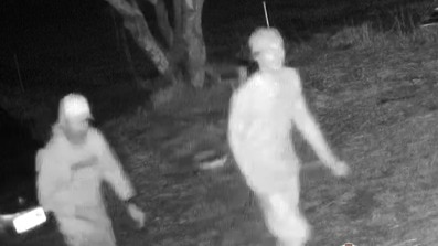 Black and white CCTV vision of two men, wearing baseball caps, walking through a front yard, past the camera