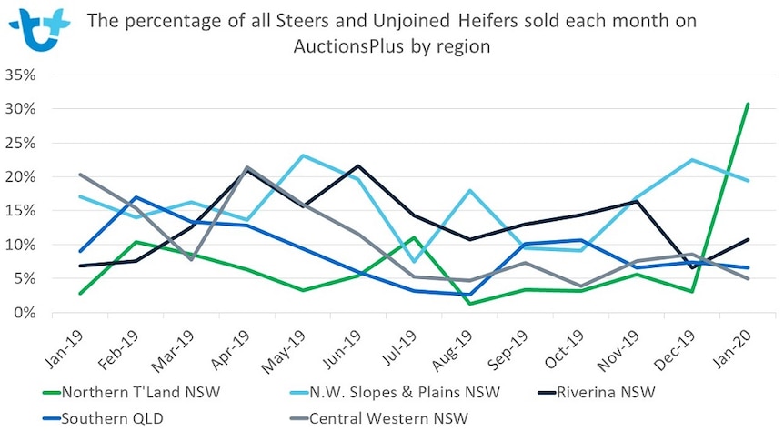 A graph showing the number of cattle sold each month by AuctionsPlus over the last year.