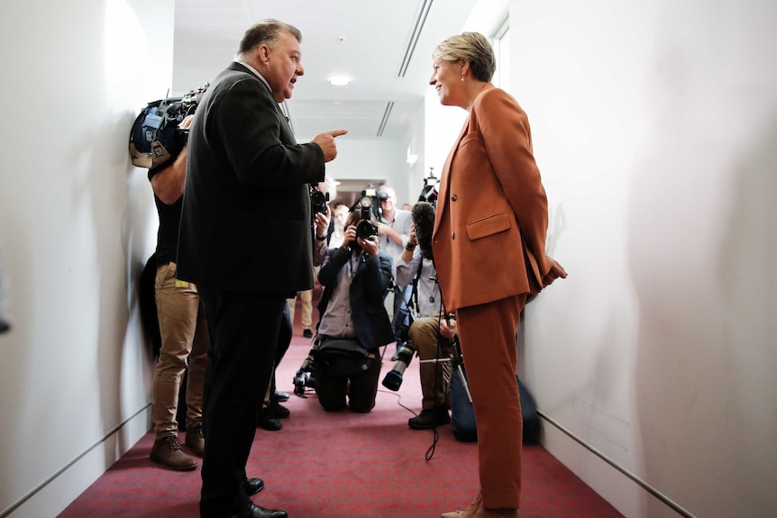 Craig Kelly points at Tanya Plibersek with his mouth wide open. Media are filming the interaction