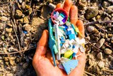 A photo of hand holding plastic pieces.