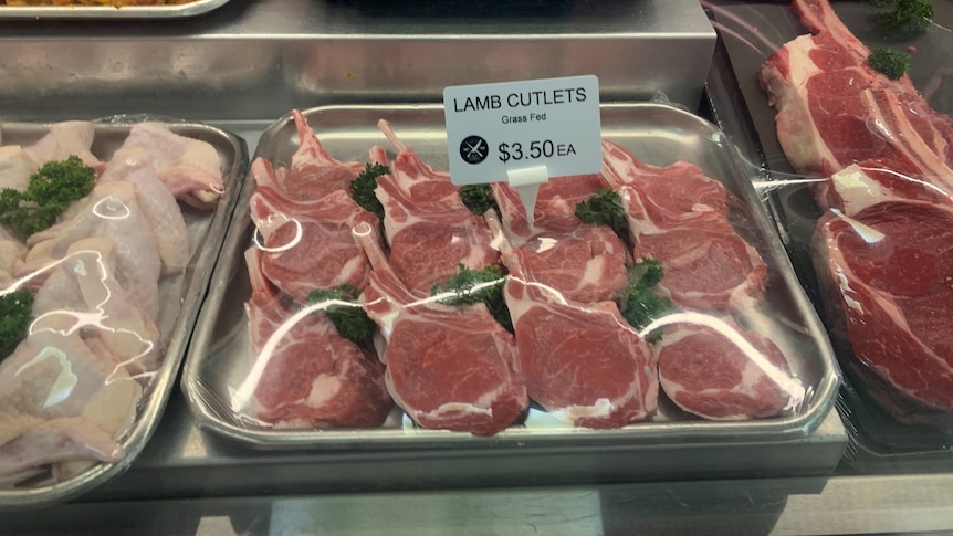 Lamb chops in a butcher shop with a price tag of $3.50 each