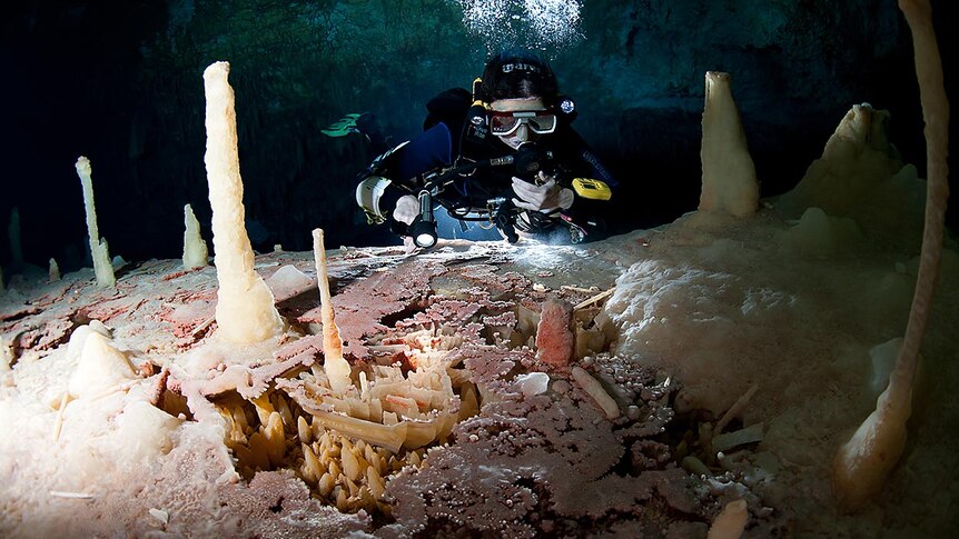 Diving Bahamas Cave