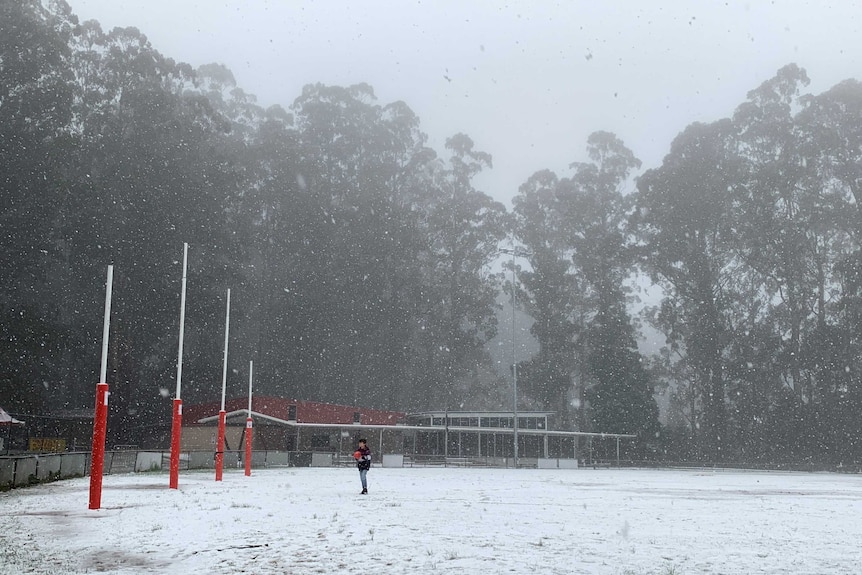 Snow falls on a football field.