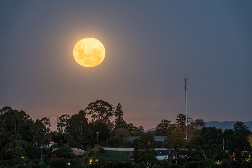 A bright full moon over the suburbs against a blue night sky. 