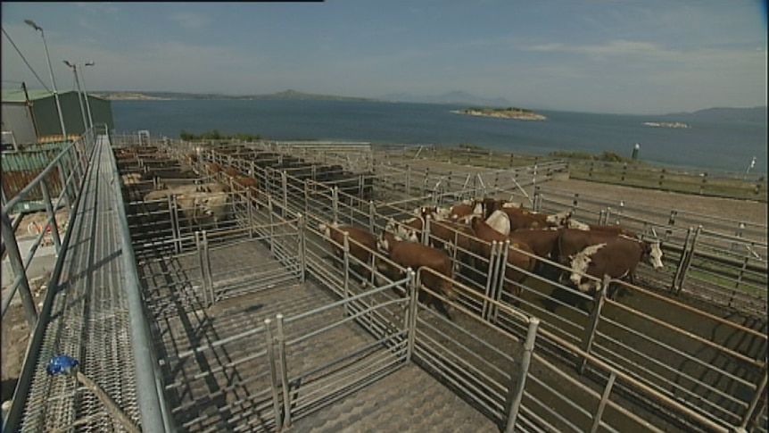 Flinders Island farmers claim their King Island counterparts are being given preferential treatment.