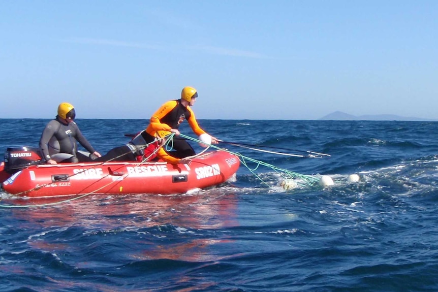 Two men in wetsuits sit in an inflatable boat near a whale, which is entangled in ropes.