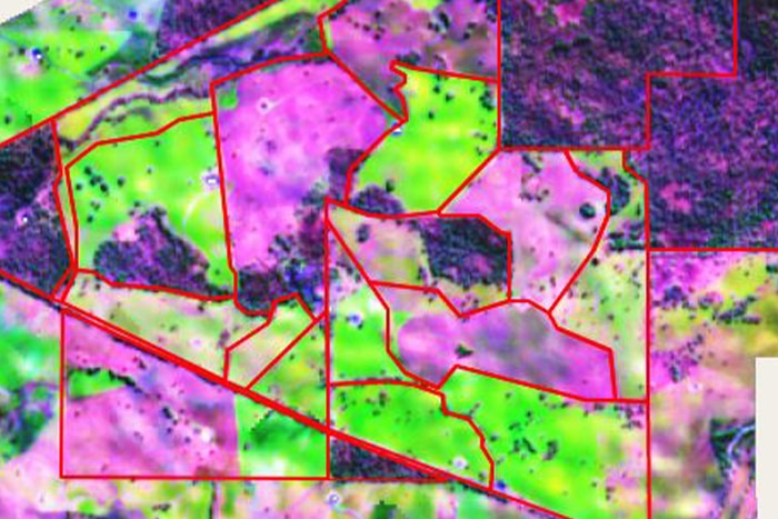 Satellite image of Brad Wooldridge's farm showing dry pasture and bare ground in pink and growing pastures and crops in green.