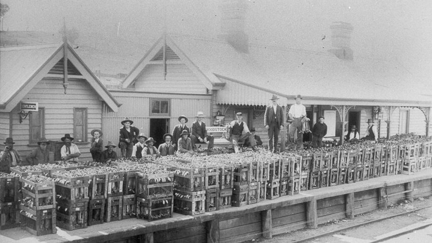 Men standing with crates of rabbits at railway station.