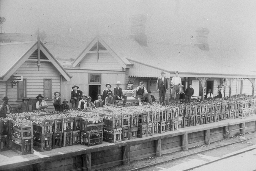 Men standing with crates of rabbits at railway station.