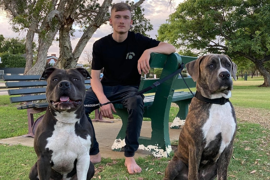 Tyson Denny at a park with two dogs.