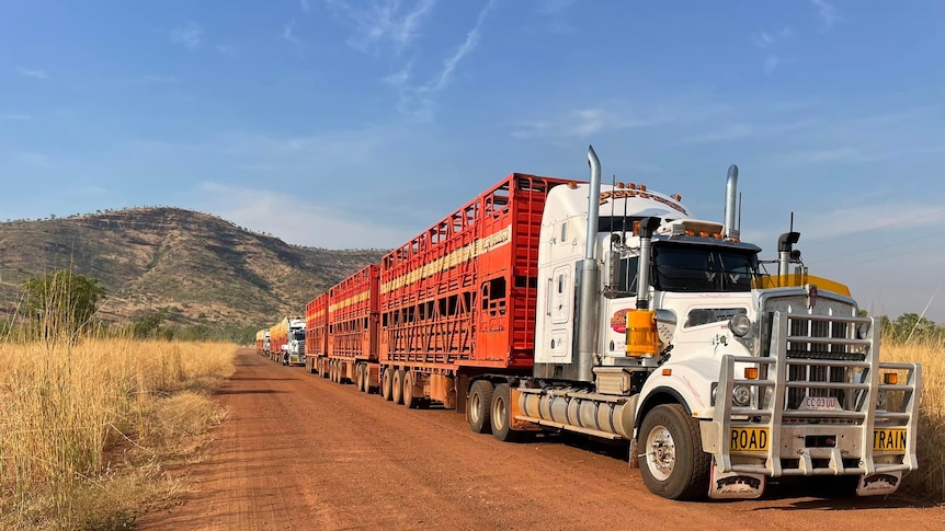 three road trains lined up on a dirt road.