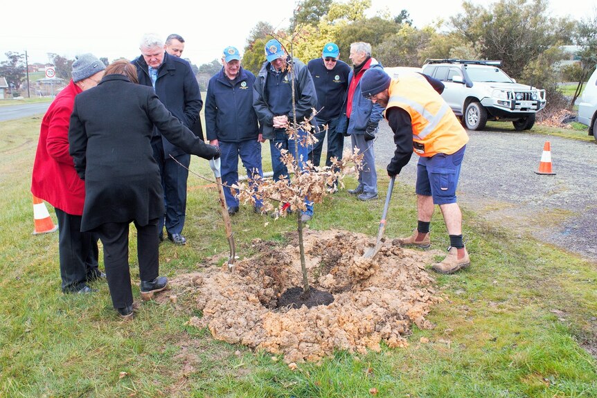 Juliana Addison, Faye Parry, Shaun Leane & others planting new trees at the Ballarat East Avenue of Honour.