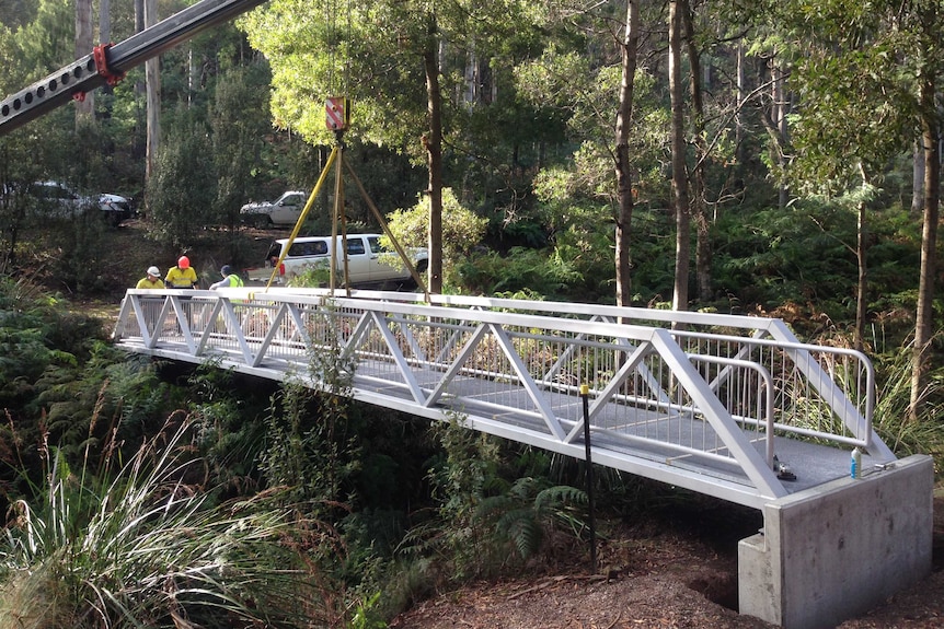 Warrawee Conservation Area bridge