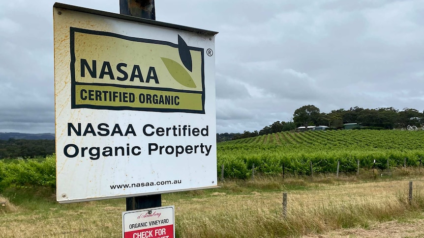 A signpost at the boundary of a vineyard declares it NASAA certified organic