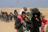 Displaced Iraqis flee their homes
