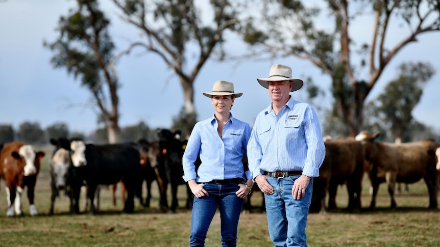 two people in hats stand in front of cattle