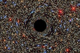 Simulation of a black hole