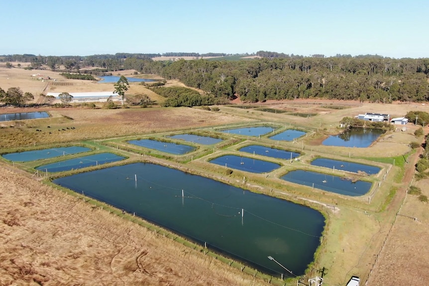 Photo of marron ponds birds eye shot 