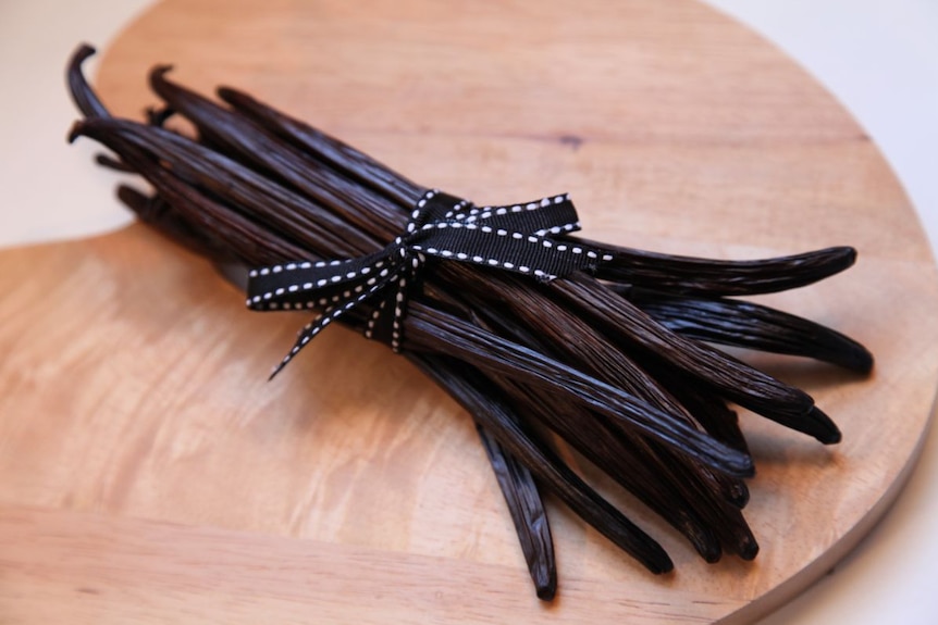 A bunch of dried dark brown vanilla beans tied with a black and white ribbon, on a wooden table.