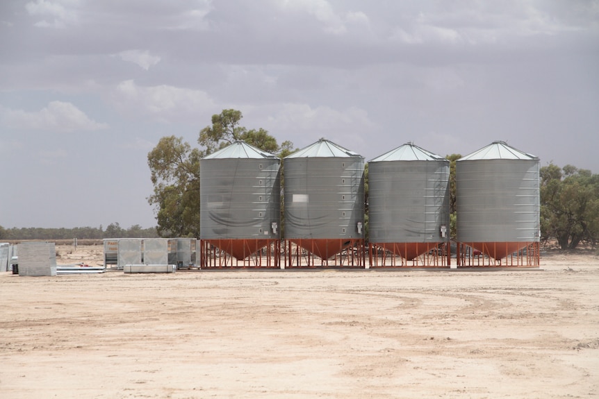 Four new steal silos for storing the feed for the sheep in the paddock where the feedlot is built