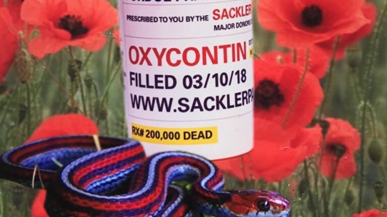A painting of a bottle of OxyContin surrounded by poppies and a snake