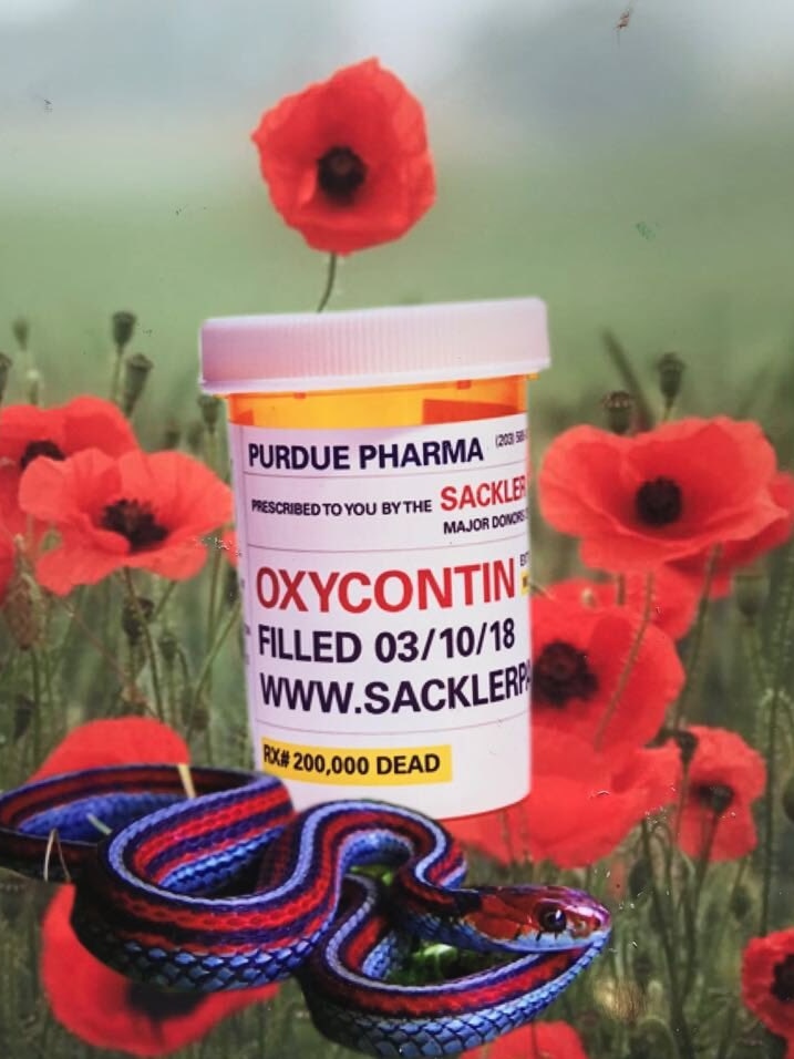 A painting of a bottle of OxyContin surrounded by poppies and a snake.