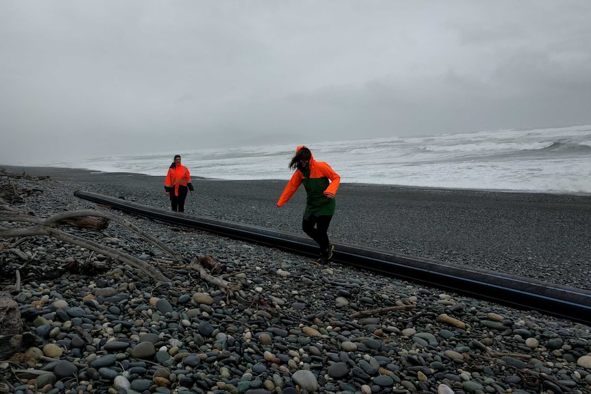 A 100 metre long pipe owned by Tasmania's Huon Aquaculture, found washed up on New Zealand beach in 2016.