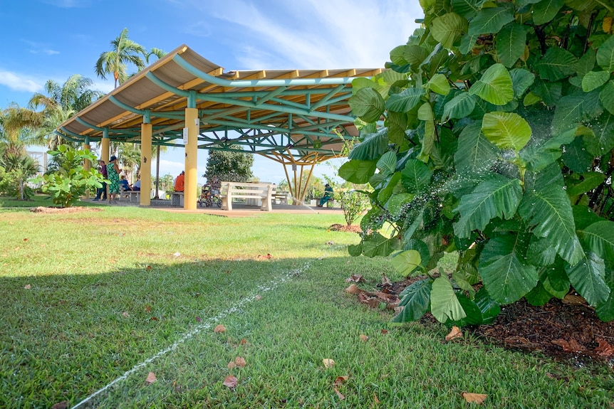 A metal shade structure behind a sapling being splashed with a sprinkler.