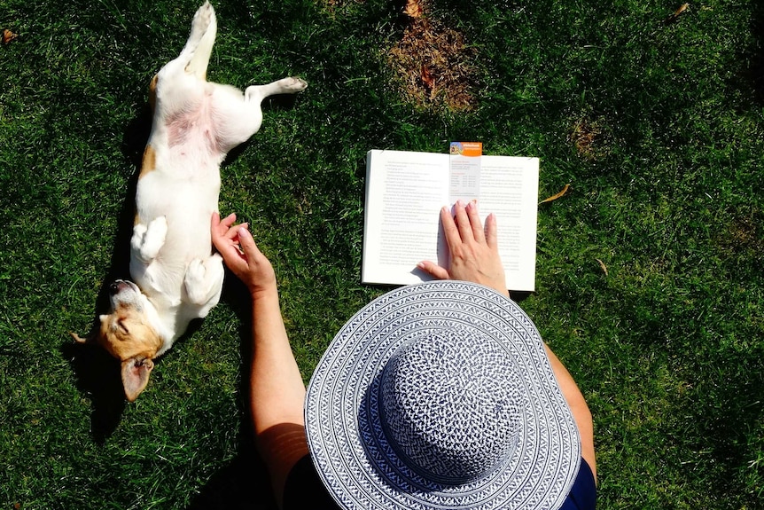 A jack russell terrier lying on its back in the grass next to a person in a sunhat
