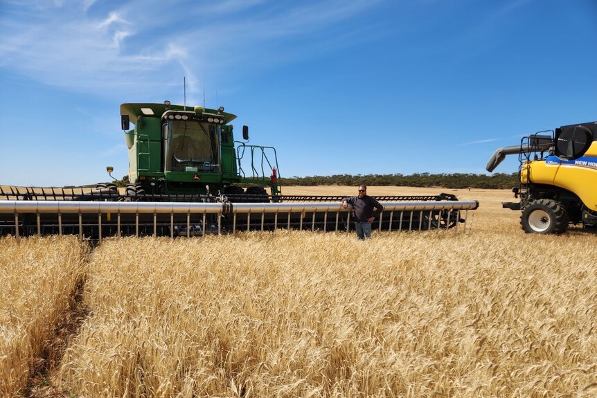 A man standing next to a header, ready to harvest cereal crops. Behind is a vast blue sky.