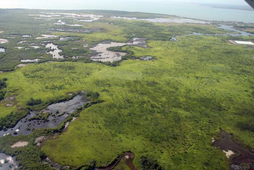 Saibai from above