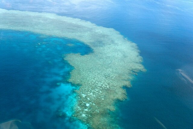 Coral reefs create cloud umbrellas