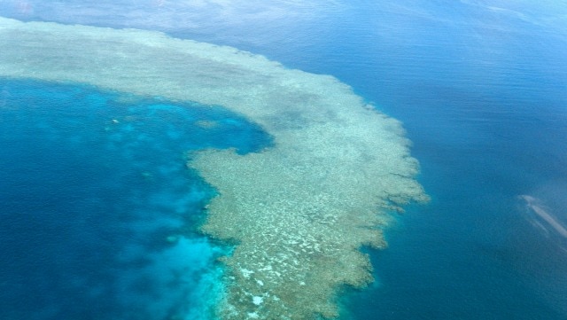 Coral reefs create cloud umbrellas