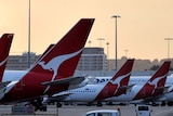 Six Qantas planes on Sydney airport tarmac at sunset while a 4x4 car drives past