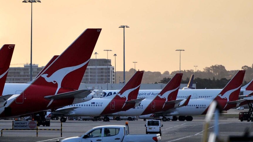 Industrial action terminated... Qantas domestic planes at Sydney airport