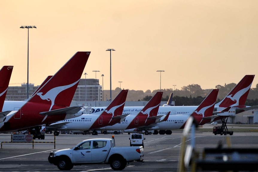 Qantas planes on Sydney airport tarmac