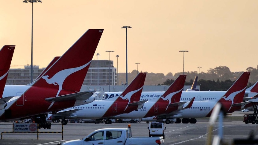Six Qantas planes on Sydney airport tarmac at sunset while a 4x4 car drives past