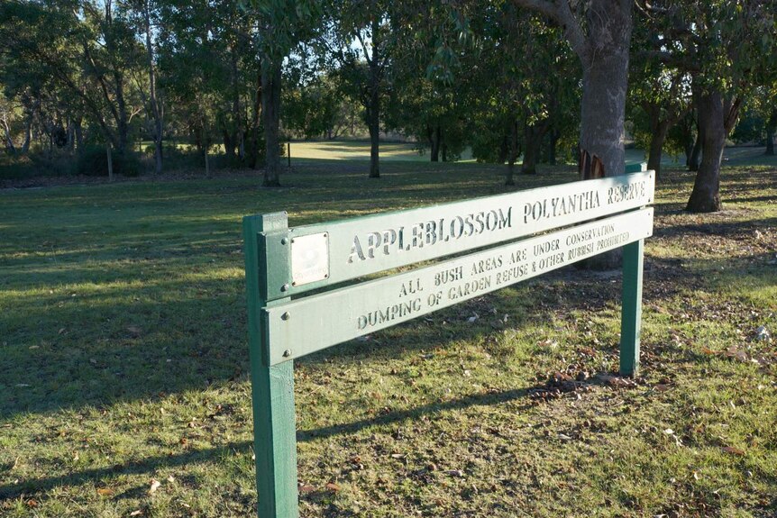 Appleblossom Polyantha Reserve in Mirrabooka