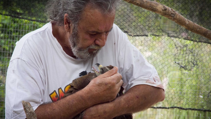 Man holds injured bird