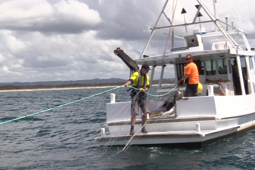 Contractors on a boat out at sea throwing shark nets into the water
