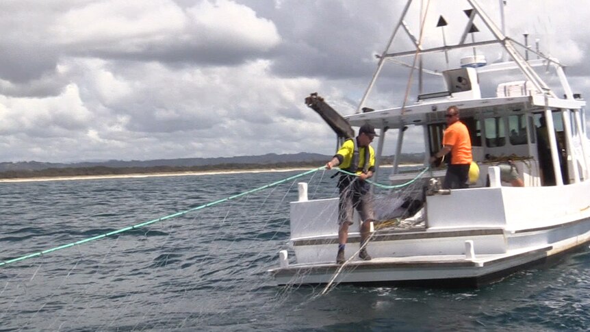 Contractors on a boat out at sea throwing shark nets into the water