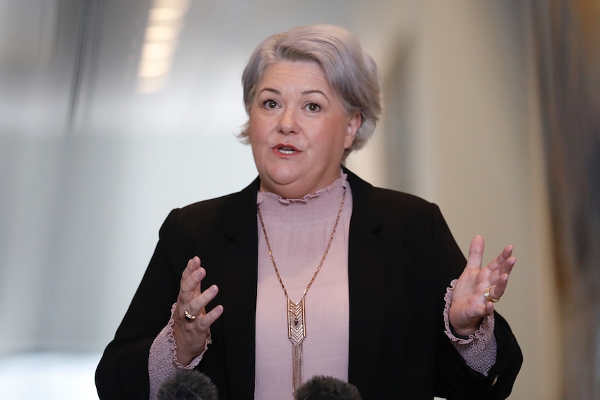 Meryl Swanson holds her hands apart while speaking at a press confernence