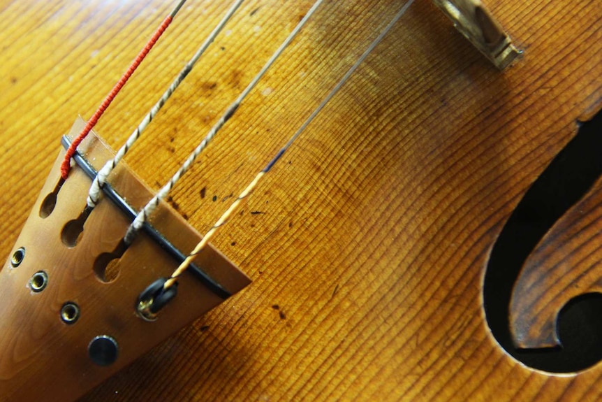 Close up of Stradivarius viola.